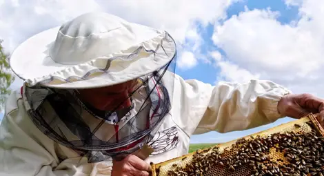 Фонд &bdquo;Земеделие&ldquo; компенсира унищожени от бедствия животни и кошери