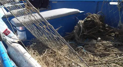 300 метра бракониерски мрежи извадиха от Янтра