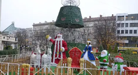 Градската елха грейва в светлини в петък