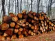 Над 81 000 кубика дърва за огрев са предоставени на физически лица в обхвата на „Северноцентрално държавно предприятие“ ДП – Габрово от началото на годината