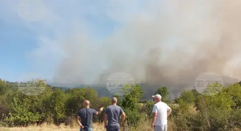 Снимка: БТА