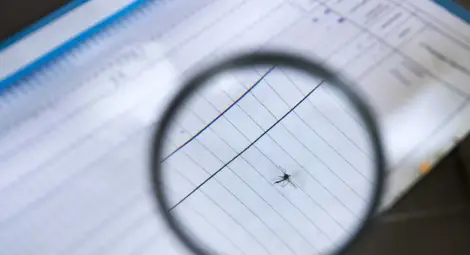 Още двама души са заразени със западнонилска треска у нас