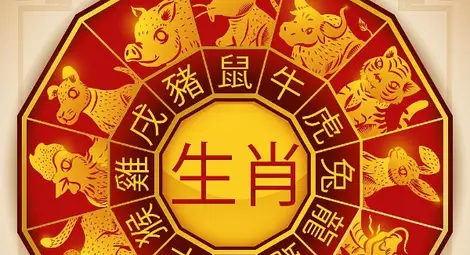 Жълтата земна свиня ще се грижи за вашето благополучие