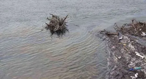 Нафта оцвети Дунав под пасарелката