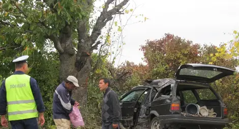 Гонка на фазан с кола завърши в крайпътно дърво