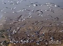 5 температурни рекорда &ndash; най-топло в Разград 