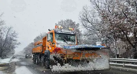 Снимка: БТА Снимка: БТА