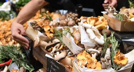 Най-полезната диета е средиземноморската