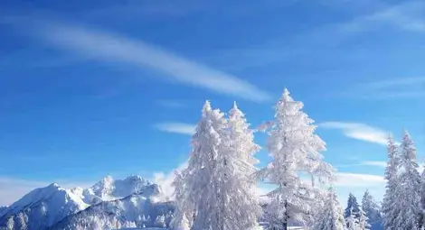 Прогноза за времето за 29 януари 2013 г.