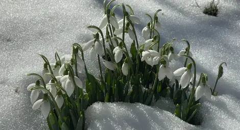 Времето в понеделник: Силен вятър в 5 области, следобед започват валежи Времето в понеделник: Силен вятър в 5 области, следобед започват валежи