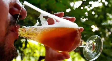 Бира с лактобацилус булгарикус - що е то? Бира с лактобацилус булгарикус - що е то?