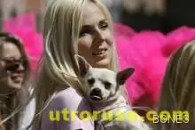 Русо гладно няма, но в службата повече напредват чернокосите