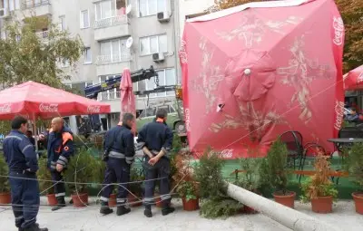 Паяк събори стълб върху кафене във Варна