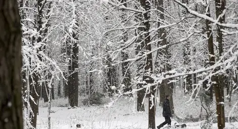 Силен снеговалеж остави 30 000 души без ток в Литва