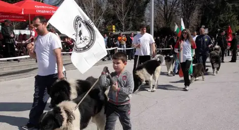 Кучета ловци на трюфели идват за първи път у нас