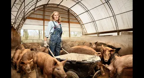 12 жени, доказали, че няма мъжки професии