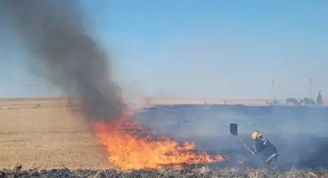 Пожарната: Не паркирайте автомобили до житни посеви