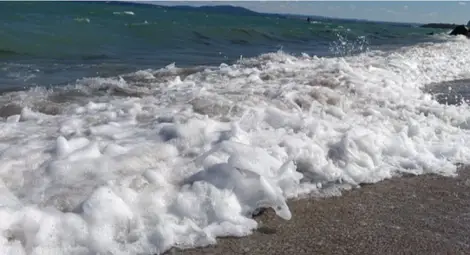 Палмови топчета и на Северния плаж в Бургас