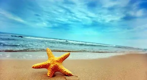 Астрономическото лято настъпва на 21 юни