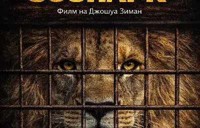 Русе отбелязва годишнината от войната в Украйна с прожекция и бдение