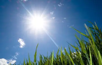 От 3 до 32 градуса ни очакват през май