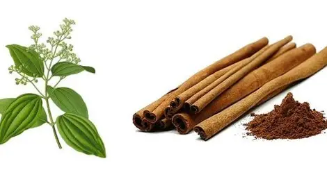 ЕС ограничава канелата