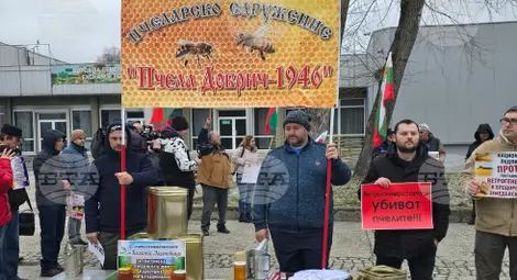 Снимка: БТА Снимка: БТА