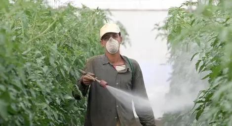 Фермерите са най-уязвими към рисковете за здравето, причинени от пестициди