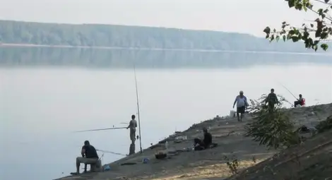 Заради безогледното бракониерство рибата в българския участък на Дунав непрекъснато намалява и въдичарите все по-често остават с празни живарници. 	             	             Снимка: Архив