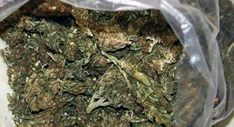 600 грама мирихуана открити при внезапна проверка в дома на дилър
