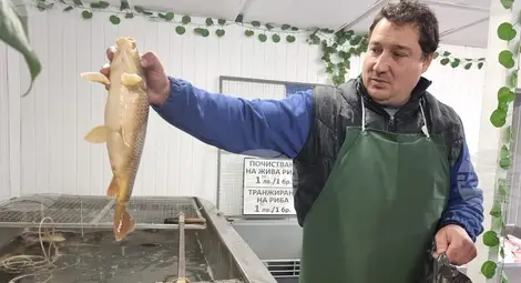 Снимка: БТА