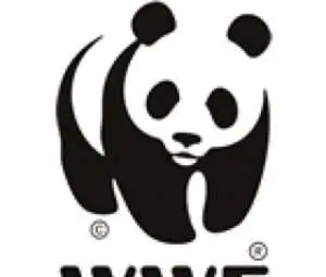 Едно русенско училище се включва в международно екосъстезание на WWF