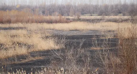 РИОСВ - Русе сигнализира отново Окръжната прокуратура за нарушение в защитени зони от НАТУРА 2000