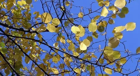 Рекордни отрицателни температури в 5 града