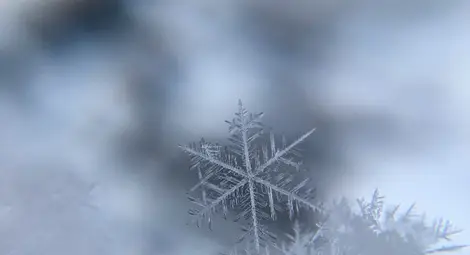 Що е то бюджетна зимна ваканция?