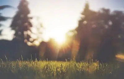 Предимно слънчево ще бъде днес, температури до 32 градуса