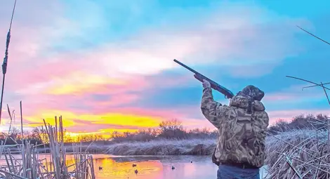 Забранява се ловът на птици в 35 общини