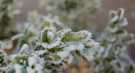 Вадете якетата: Лятното време идва с истинска зима!