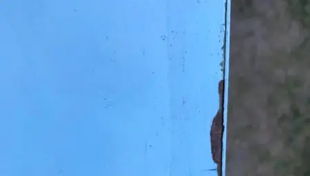 Привлекателността на надписа &bdquo;РУСЕ&ldquo; се обърна срещу него