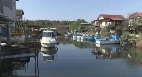 Малък улов на паламуд тази година в Черно море