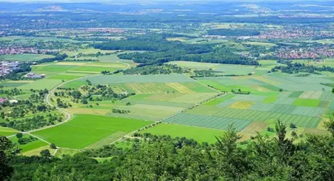 Над 24 хил. собственици са подали декларации как да се използват земите им идната година
