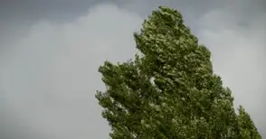 Западен вятър със сила 86 км/час вилня в Русе