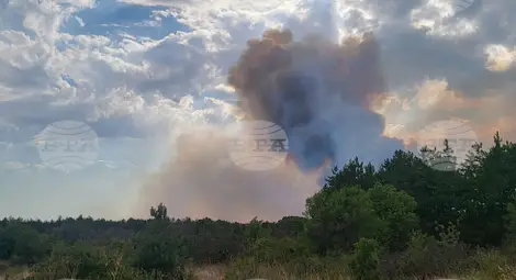 Снимка: БТА Снимка: БТА