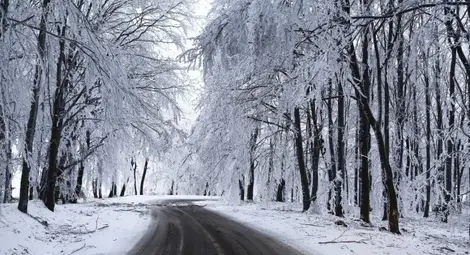 Жълт код в 14 области заради снеговалежи