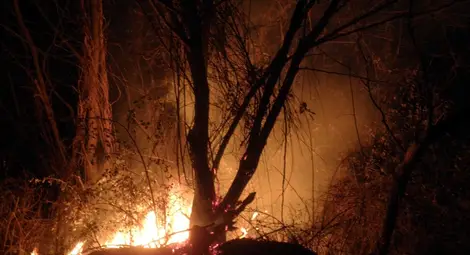 Пасища горят край пътя за Рилския манастир