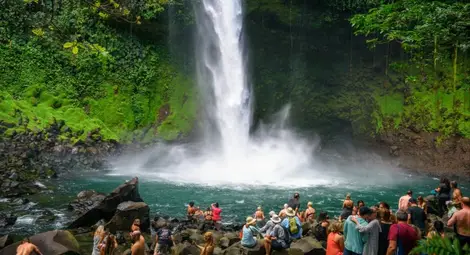 От страна с едни от най-високите темпове на обезлесяване, тя се връща след зелените първенци