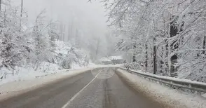 Всички пътища в Монтанско са проходими след падналия през нощта нов сняг, 37 машини са чистили и опесъчавали