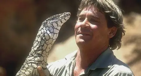 Последната дума на ловеца на крокодили Стив Ъруин: Умирам!