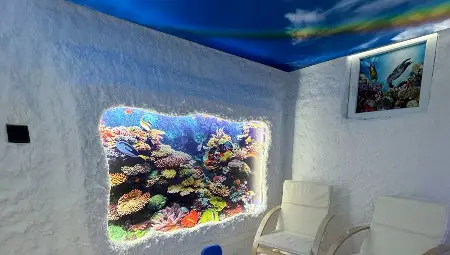 Втора солна стая бе открита в ДГ "Пинокио" в Русе