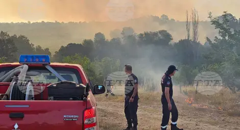 Снимка: БТА